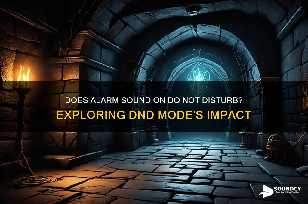 does alarm sound on dnd