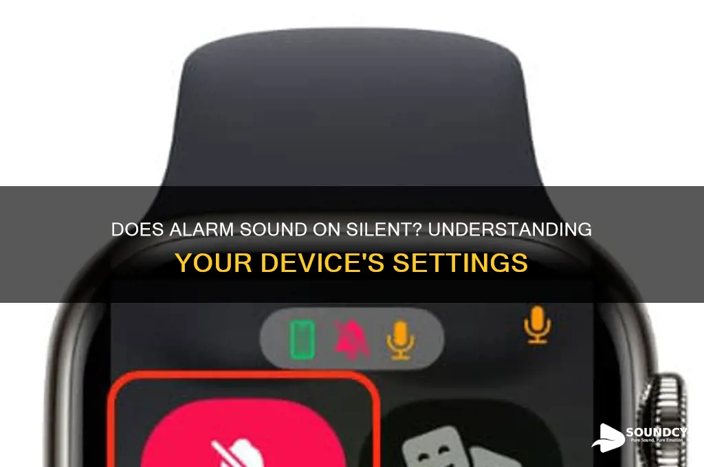 does alarm sound on silent