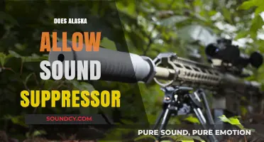 Alaska's Stance on Sound Suppressors: Legal or Restricted?
