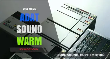 Does the Alesis ADAT Tape Recorder Deliver a Warm Sound?