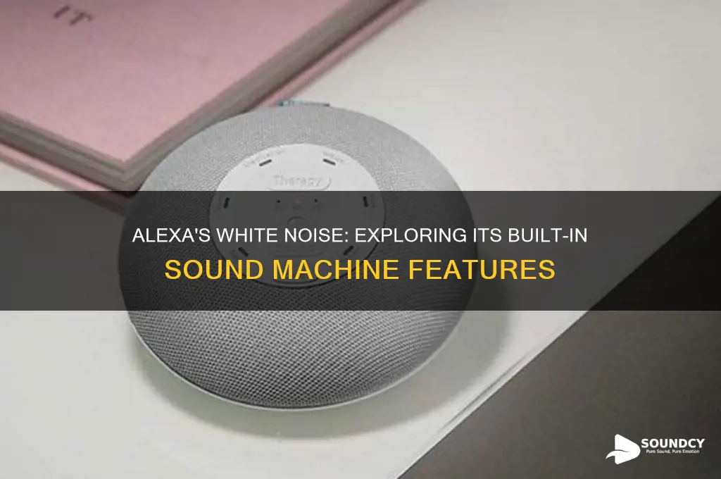 does alexa have sound machine