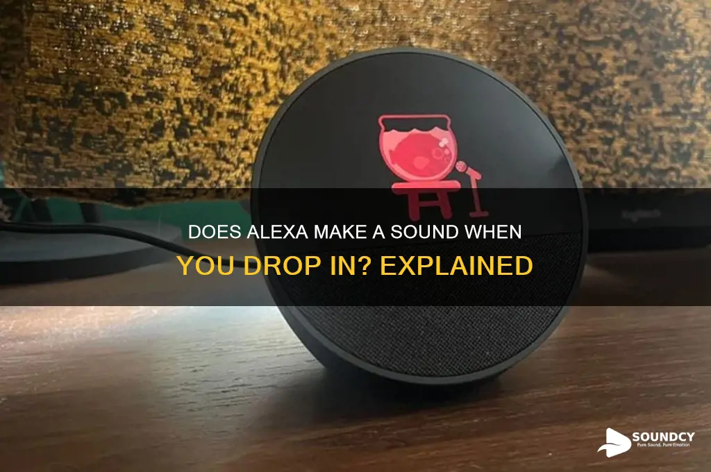 does alexa make a sound when you drop in