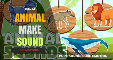 Do All Animals Make Sounds? Exploring the Vocal World of Wildlife