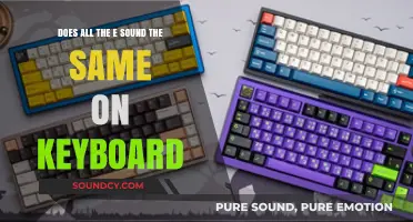 Do All Keyboard E Sounds Sound Identical? Exploring Typing Acoustics