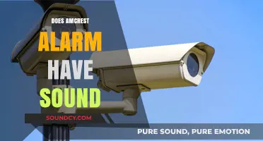 Does Amcrest Alarm Have Sound? Exploring Its Audio Features