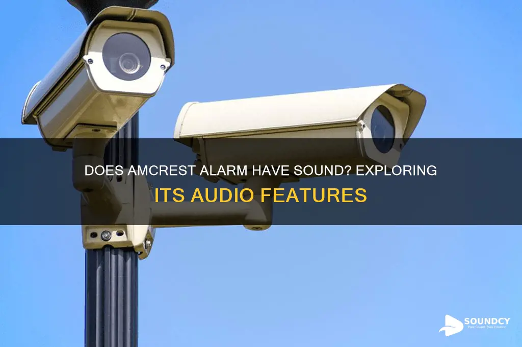 does amcrest alarm have sound