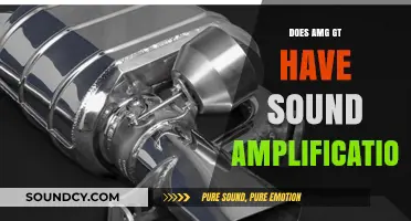AMG GT: Engine Sound Amplification for Enhanced Experience