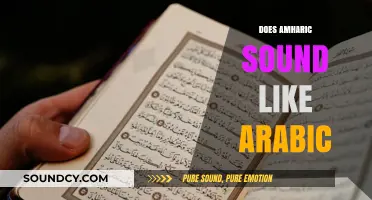Does Amharic Sound Like Arabic? Exploring Linguistic Similarities and Differences