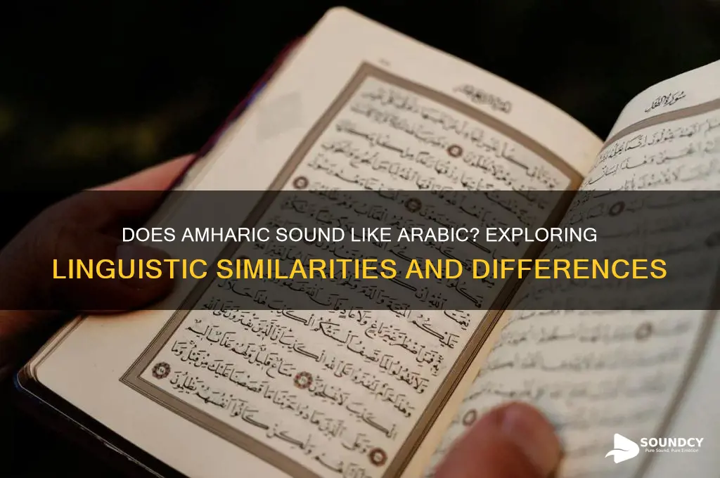 does amharic sound like arabic
