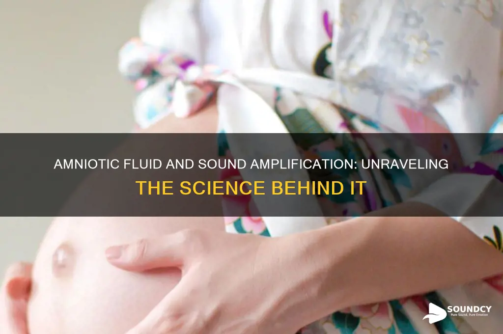 does amniotic fluid amplify sound