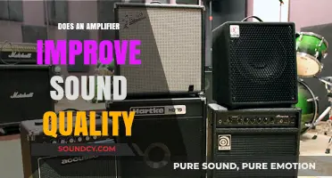 Amplifiers: Enhancing Sound Quality or Just Volume?