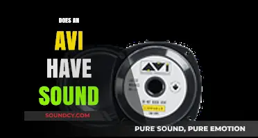 Does an AVI Have Sound? Exploring Audio in AVI Files