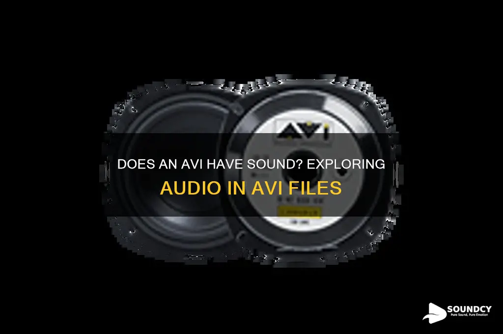 does an avi have sound