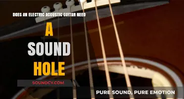 Electric Acoustic Guitars: Sound Hole Necessity or Design Choice?