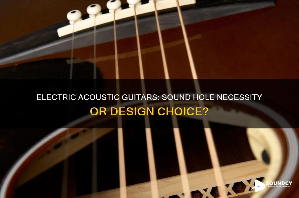 does an electric acoustic guitar need a sound hole