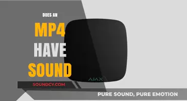 MP4 Sound Explained: Do These Files Always Include Audio?