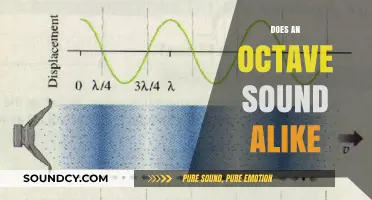 Do Octaves Sound Identical? Exploring the Science Behind Musical Intervals