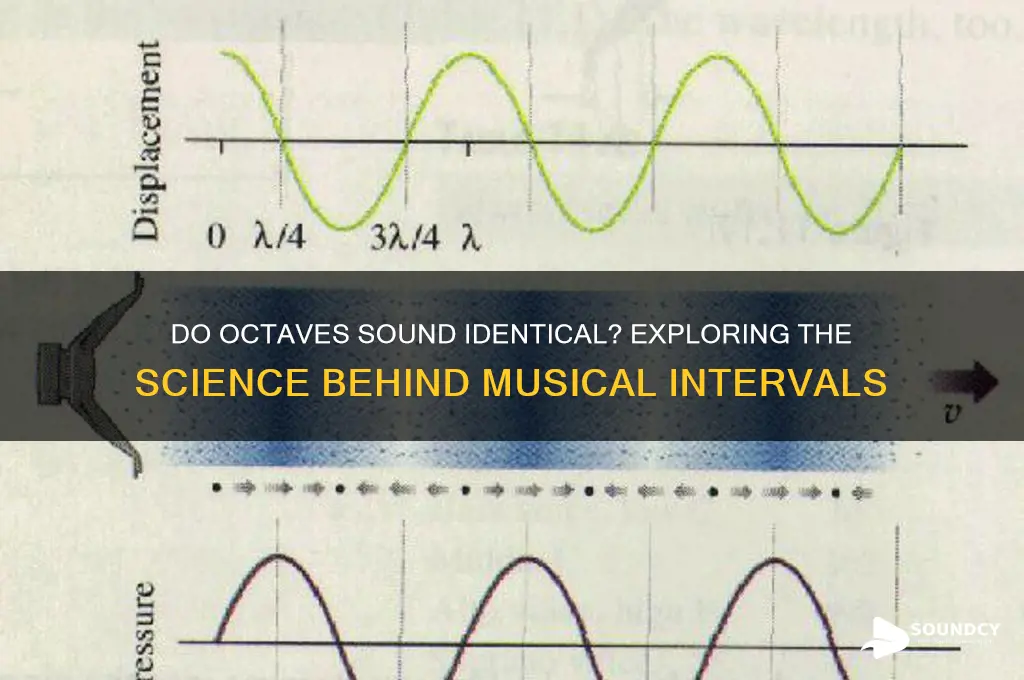 does an octave sound alike