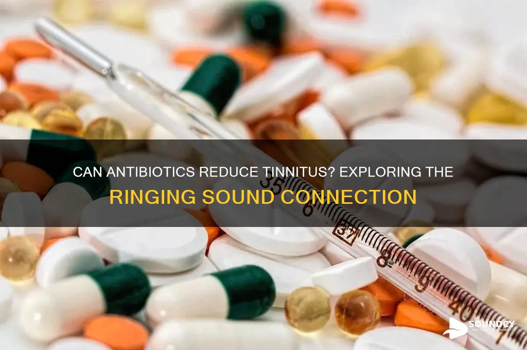 does antibiotic reduce ringing sound