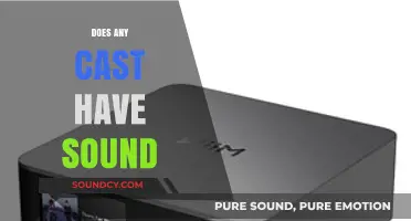 Does Any Cast Have Sound? Exploring Audio Features in Streaming Devices