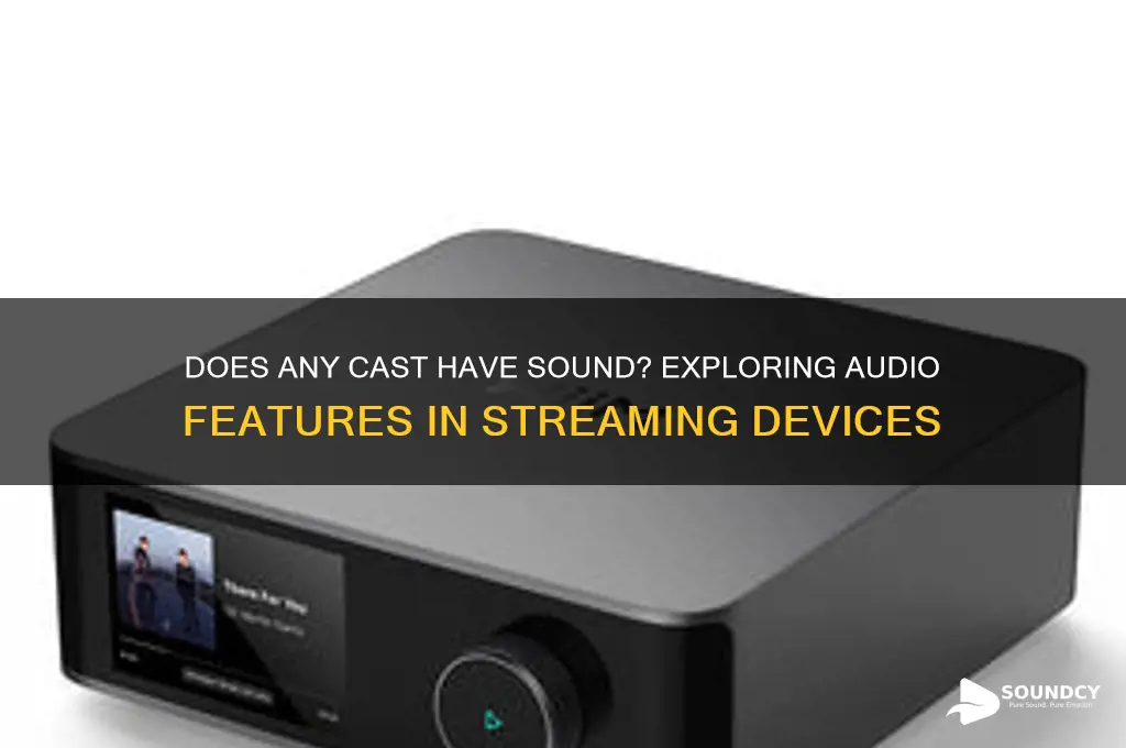 does any cast have sound