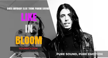 Panini vs. In Bloom: Unraveling the Unexpected Musical Soundalike