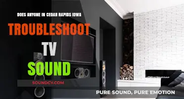 Cedar Rapids TV Sound Troubleshooting: Who Can Help Fix Your Audio?
