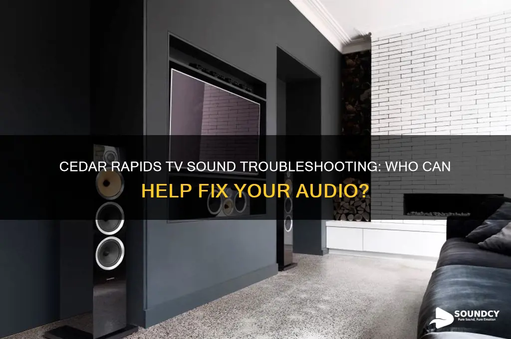 does anyone in cedar rapids iowa troubleshoot tv sound