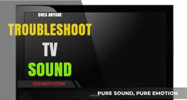 Troubleshooting TV Sound Issues: Quick Fixes and Expert Tips