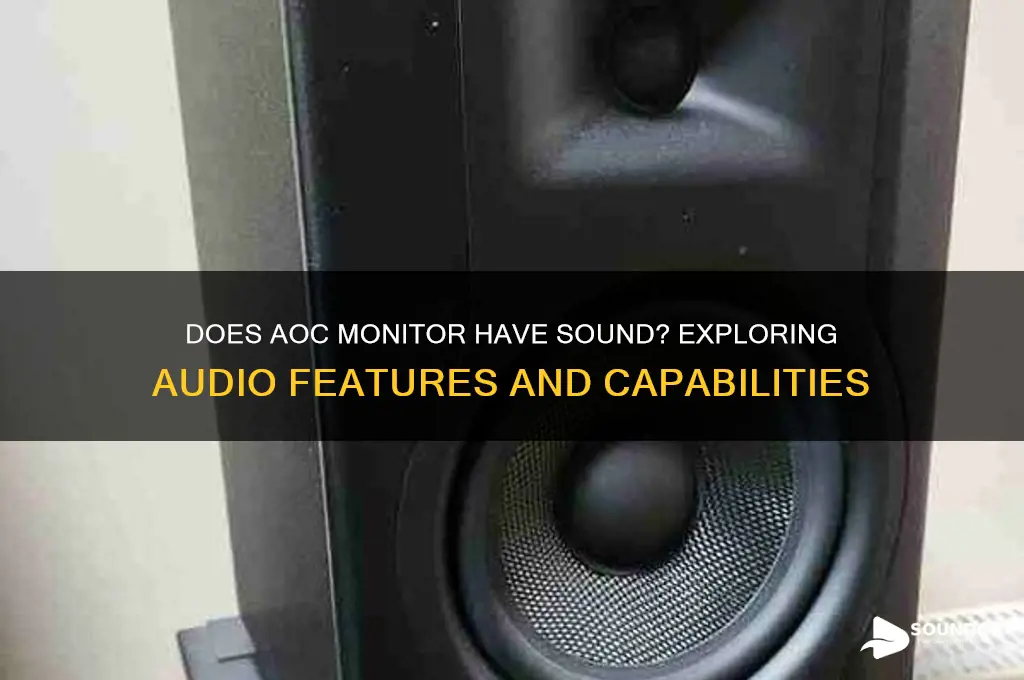 does aoc monitor have sound