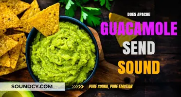 Does Apache Guacamole Support Audio Streaming for Remote Desktop Sessions?