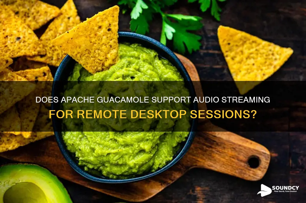 does apache guacamole send sound