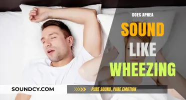 Apnea vs. Wheezing: Understanding the Distinct Sounds and Symptoms