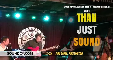 Appalachian Live Streams: Beyond Sound, Exploring Visual and Cultural Elements