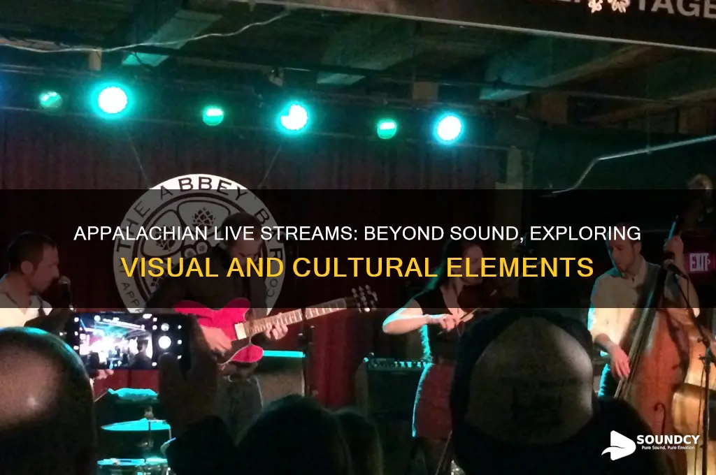 does appalachian live streams stream more than just sound