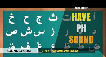 Exploring Arabic Phonetics: Does the Language Include the 'Ph' Sound?