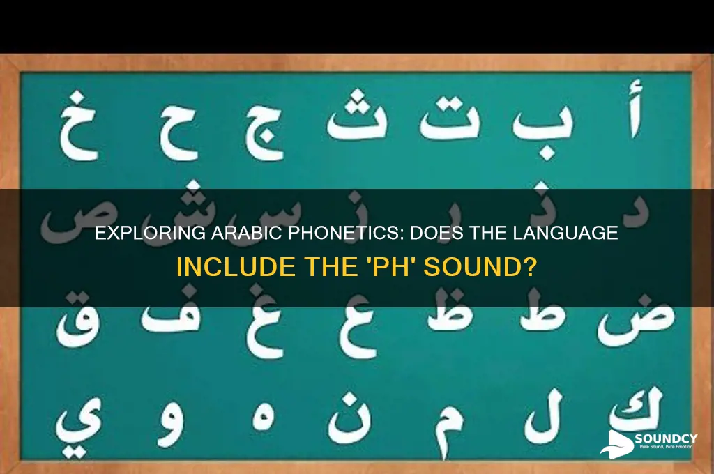 does arabic have ph sound