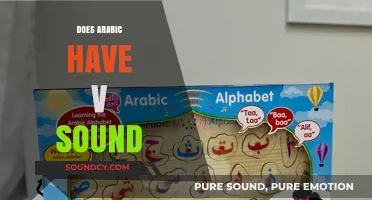 Does Arabic Have a V Sound? Exploring Phonetic Nuances in the Language