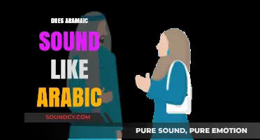 Does Aramaic Sound Like Arabic? Exploring Linguistic Similarities and Differences