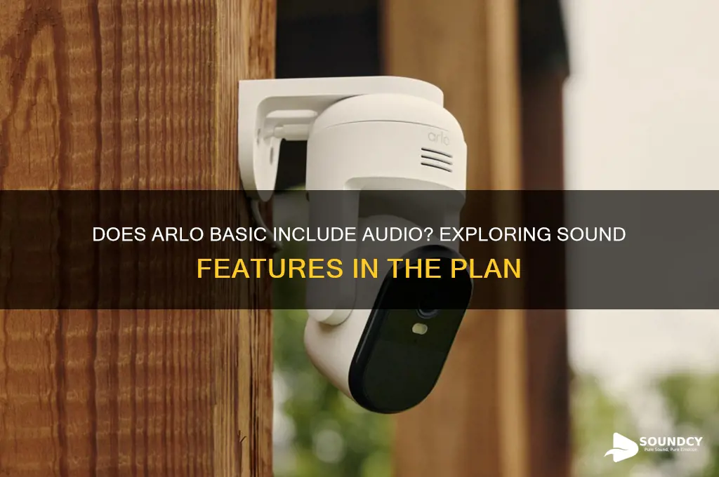 does arlo basic have sound