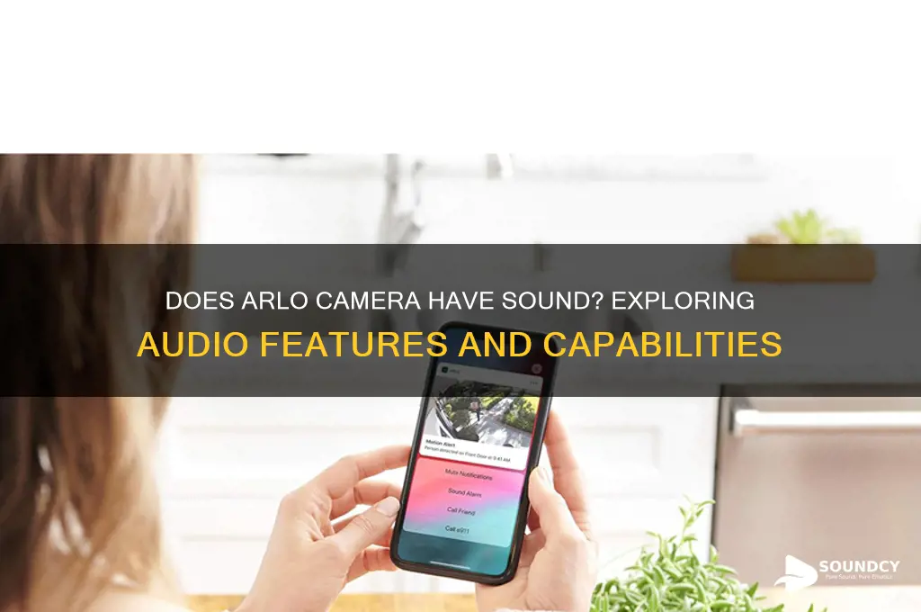 does arlo camera have sound