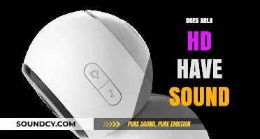 Does Arlo HD Have Sound? Exploring Audio Features and Capabilities