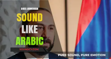 Armenian vs. Arabic: Unraveling the Linguistic Similarities and Differences