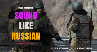Armenian vs. Russian: Unraveling the Linguistic Similarities and Differences