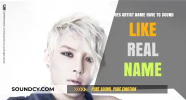 Do Artist Names Need to Mirror Real Names? Exploring Stage Identity