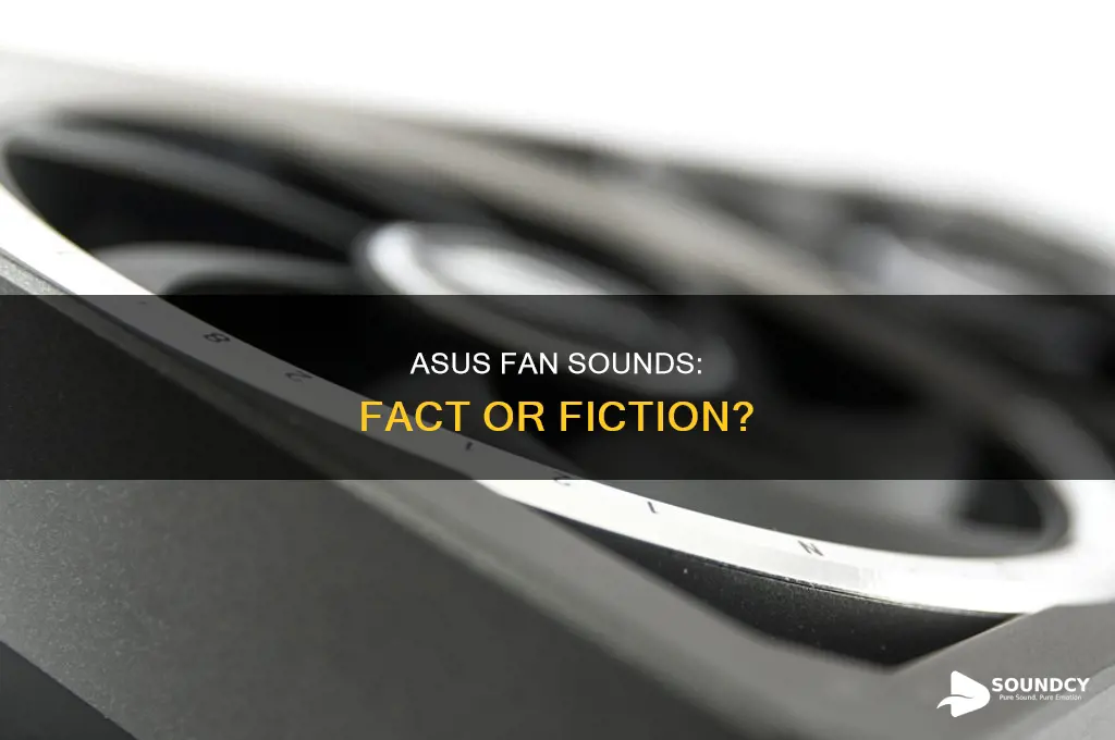 does asus really have fan sounds