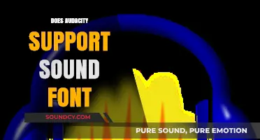 Does Audacity Support Sound Fonts? A Comprehensive Guide for Users