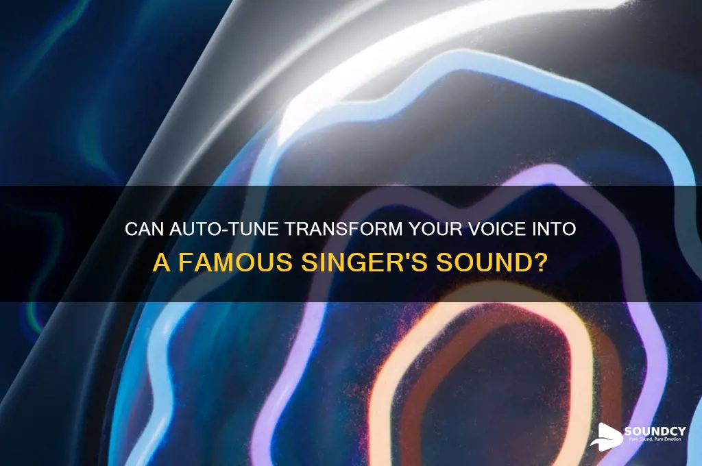 does auto tune make you sound like famous singers