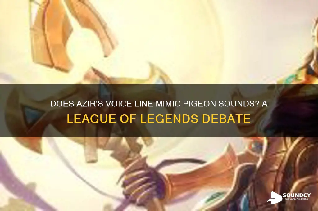 does azir make pigeon sounds