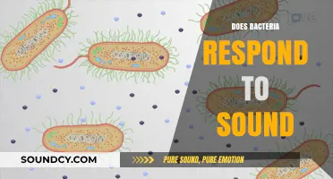 Can Bacteria Hear? Exploring Sound's Impact on Microbial Behavior